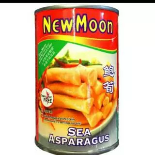 New moon sea asparagus  / newmoon