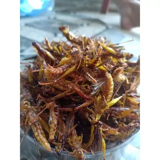 belalang goreng