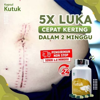Kapsul Kutuk Paket 3 Botol - Luka Sembuh Pasca Operasi - Original Ekstrak Albumin Ikan Gabus Proalbumin