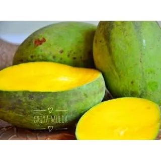 Buah Mangga Kweni fresh organik 1 kg / Buah mangga Kuweni fresh organik 1 kg