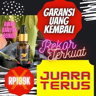 Jamu Merpati Kolong,Jamu Merpati Balap,Jamu Merpati Giring Keras,Jamu Merpati Rjb,jamu merpati balap,jamu merpati rjb,jamu merpati los dor,jamu merpati los dor tradisional,jamu merpati balap sprint alami,jamu merpati double power,j2