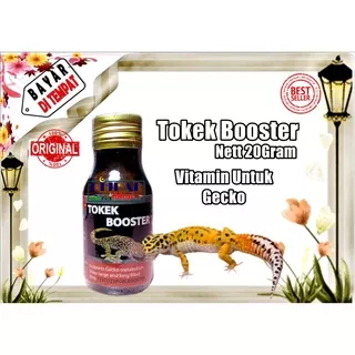 Vitamin Gecko Vitamin Tokek Suplemen Tokek Suplemen Gecko Vitamin Reptil Menambah Pertumbuhan Ukuran Panjang Dan Besar Gecko Super Cepat TOKEK BOOSTER - Kemasan Botol Kaca 20Gram - Hijrah Pet Shop