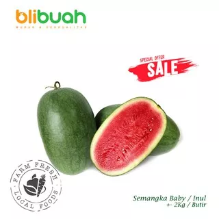 Semangka Inul MANIS Segar 1Pcs / Semangka Baby / Buah Semangka Lonjong / Watermelon