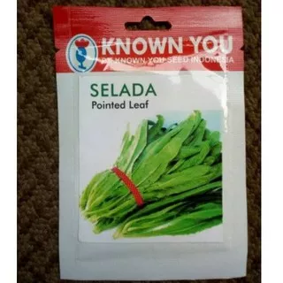 benih selada siomak pointed leaf kys know you seed 5 gram