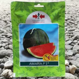 SEMANGKA NON BIJI-Benih Bibit Buah Semangka Merah AMARA (20btr)