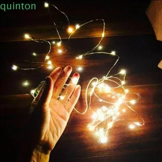 QUINTON Micro Rice Fairy Lights USB Christmas Decoration String Lights Home Wedding Party Decoration Lights Starry String LED Lamp Christmas Lights