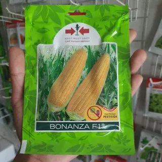 Benih Bibit Jagung Manis BONANZA F1 (200btr)