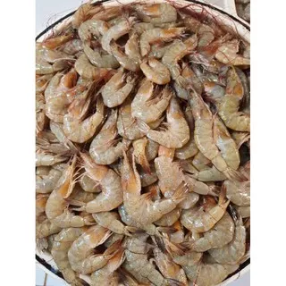 udang 1 kg