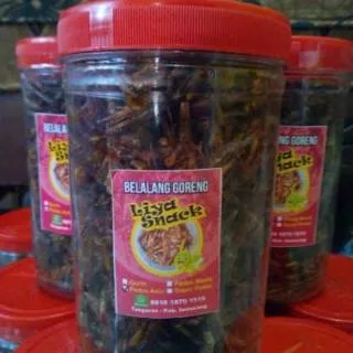 Belalang Goreng Kecil