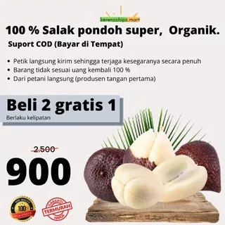 salak pondoh super organik segar berkwalitas suplier salak pondoh produsen salak pondoh salak pondoh grosir buah segar buah super buah organik