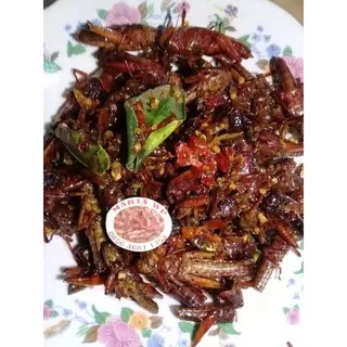 Belalang Goreng