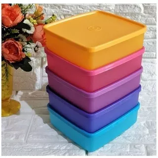 Large Square Away / kotak bekal Tupperware / Signature Tupperware