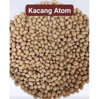 1kg kacang atom / kacang oven