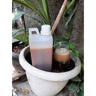 Madu sialang jambi 1kg Madu hutan sialang jambi murni madu asli murah jakarta