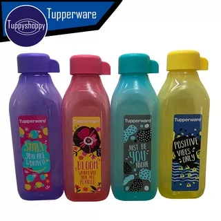 Botol Minum 500ml Eco Bottle Square Tupperware