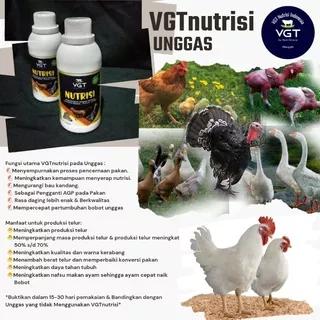 VGT nutrisi probiotik ayam kampung broiler bebek itik unggas kalkun entok bebek peking ayam kampung burung puyuh ayam petelur joper untuk fermentasi pakan vitamin ayam terbaik pengganti AGP pakan enzim unggas organik enzyme unggas organic