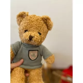 Boneka Teddy Bear Sweater Biru IMPORT tersedia ukuran 30 cm atau 35 cm