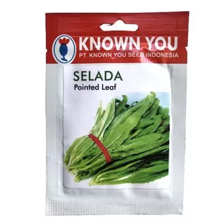 Benih/SEed/Biji/BIbit Selada Pointed Leaf selada siomak known you seed