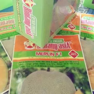 Benih melon Merlin f1 berkualitas tinggi isi 20gr sekitar 700butir