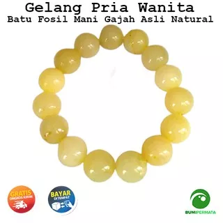 Gelang Batu Fosil Mani Gajah Asli Natural 13 mm