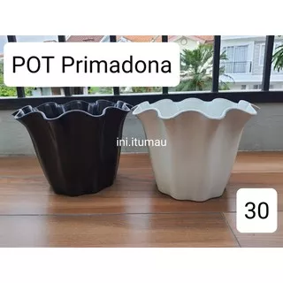 POT PRIMADONA shalom 30 putih hitam / pot kembang tanaman 30 primadonna shallom