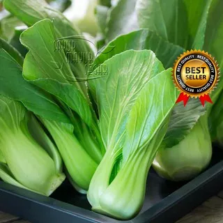 SAYURMAYURSEGAR POKCOY / SAWI SENDOK SEGAR 1KG (SAYUR CURAH)