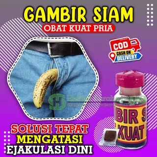 Obat Kuat Tahan Lama OLES Gambir Siam / Gambir Serawak 100% Original Asli Kalimantan