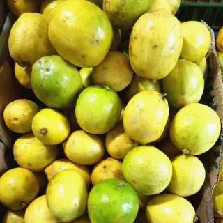 Buah Jeruk Lemon Lokal 1000gr
