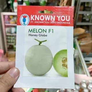 benih melon honey globe - benih melon hibrida - KYS