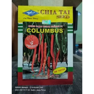 Cabe Besar Hibrida Columbus F1 Tahan Virus Kemasan 10gr Original Pabrik