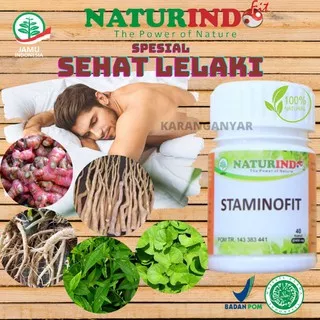 Obat Herbal khusus Untuk Kesehatan Kebugaran Pria Pekerja Keras STAMINOFIT Naturindo