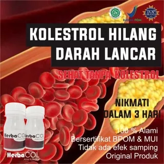 Obat Kolesterol Paling Ampuh Obat Kolesterol dan asam urat obat kolesterol herbal alami original