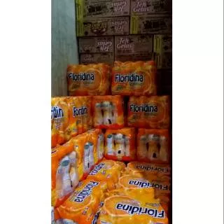 Floridina 1 dus pack 350ml isi 12 botol