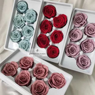 1 Pcs Preserved Rose 5-6 CM Grade A Import / Bunga Mawar Eternal