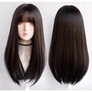 FULL WIG KOREAN LONG STRAIGHT LURUS NARURAL 65 CM WIG WANITA KOREA