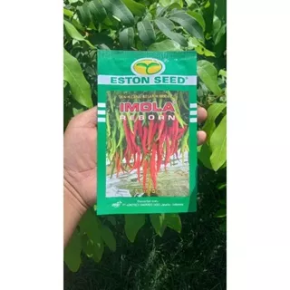 CABE IMOLA REBORN / NEW CABE BESAR HIBRIDA 10 GRAM TAHAN VIRUS BUAH LEBAT ORIGINAL 100% ( exp 27-05-2025)