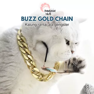 Buzz Gold Chain - Kalung Rantai Gangster Anjing Kucing - Kalung Gaya Punk Untuk Aksesoris Hewan Peliharaan - Kalung Hewan Peliharaan Hip Hop