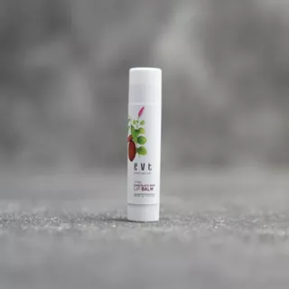 Chocolate Mint Lip Balm 5gr by Evete