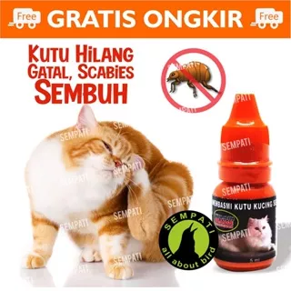 Obat Kutu Kucing Anjing Magic Kutu 5 Ml Obat Kucing Tetes Basmi Kutu Tungau Sakit Kulit Kudis Scabies Caplak Obat Kulit Kucing Gatal Vitamin Orange Production Anti Tick Flea