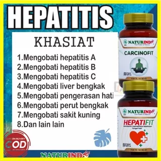 Obat liver hati bengkak hepatitis A B C D sakit kuning sirosis herbal paket