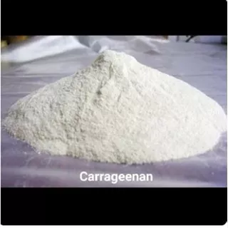 Carrageenan / Karagenan / Karagen / caragenan/ pengenyal bakso alami tepung bakso