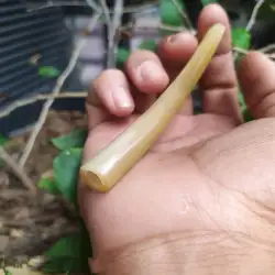 Pipa roko tanduk kerbau bule asli pipa rokok cangklong murah pipa tanduk kerbau