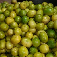 Lemon Lokal 1 kg - sayuran buah segar - busayda