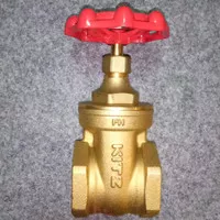 gate valve kitz 3/4" FH 125