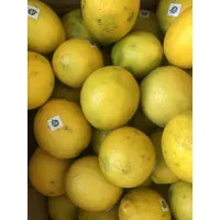 Lemon california lokal grade A-B