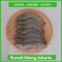 Udang Segar Vaname 40-50 - / udang 500 gr/udang vannamei segar