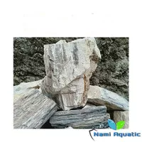 Batu Fosil kayu 1 kg | hardscape | aquascape