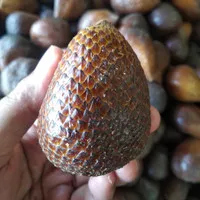 Salak