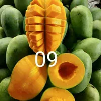 mangga harum manis 1 kg