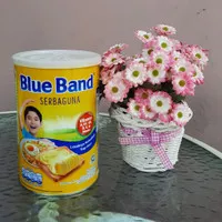 blue band serbaguna 1kg